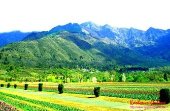 Kashmir Wallpaper Pictures Of