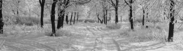 Trails In The Snow Winter Ultra HD Desktop Background Wallpaper