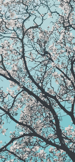 Cool iPhone Lock Screen Wallpaper