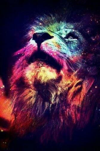 Animal Background Colors Cool Cute Disney Galaxy Grr Hipster