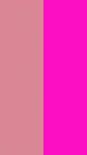 Shimmering Blush And Shocking Pink Solid Two Color Background