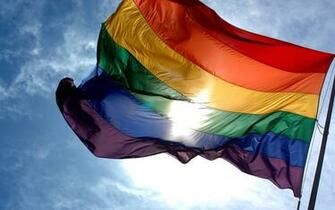 Gay Flags Wallpaper Wallpoper