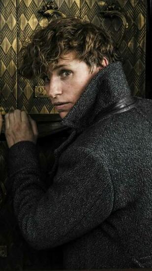 Wallpaper Fantastic Beasts The Crimes Of Grindelwald