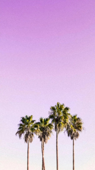 Summer iPhone Wallpaper That You Have To See Artist Hue