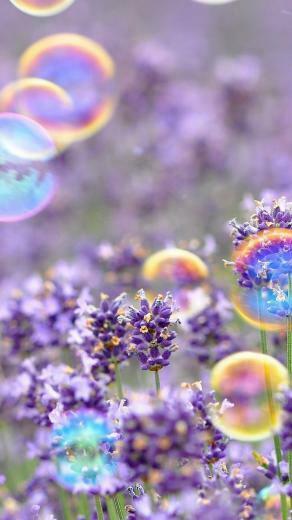 Beautiful Spring Android Wallpaper