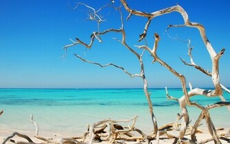 Exotic Beach Widescreen Wallpaper