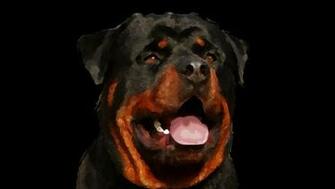 Rottweiler Puppies Wallpaper HD