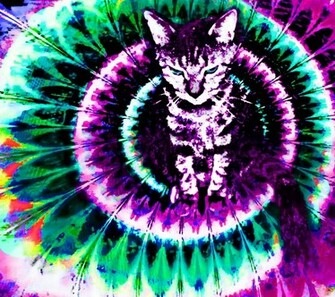 Pictures Vidzshare Net Trippy Wallpaper Categories 3d