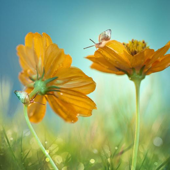 Fabulous Nature Desktop Wallpaper In HD