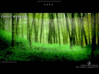 And White Wallpaper HD Wallcoo Wmd8x0laauo