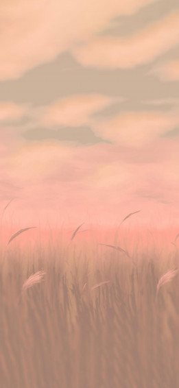 Wheat Field Background Wallpaper