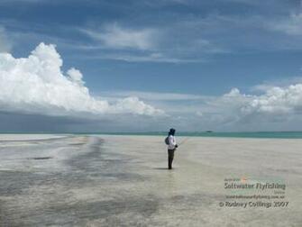 Saltwater Fishing Desktop Wallpaper