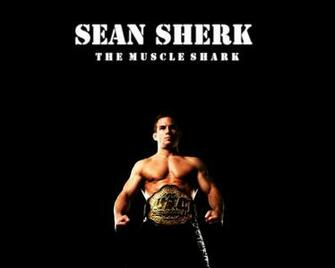 Ufc Wallpaper HD Background