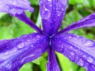 Wallpaper Photo Discovery Html