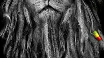 Wallpaper For Rasta Lion iPhone