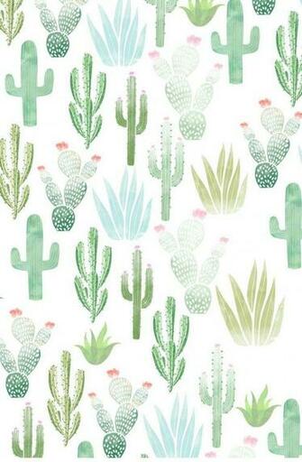 I Frickin Love Cacti Wallpaper In iPhone