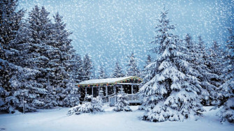 Christmas Snow Wallpaper