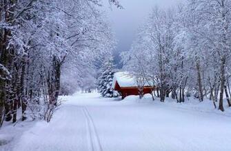 Snow Road House 4k Ultra HD Wallpaper Net