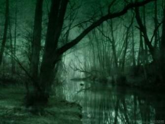 Swamp Wallpaper Background For Desktops