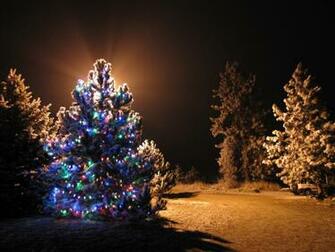 Outdoor Light Best Wallpaper Baltana