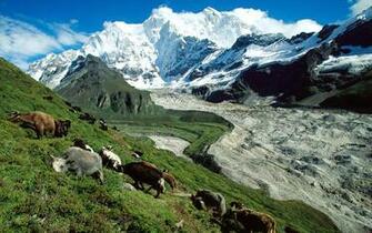 Tibet Wallpaper HD
