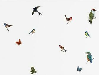 Domestic Wall Sticker Animals Accessories Better Living