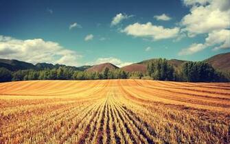Typical Wallpaper Photo Manipulated Nature In Jpg