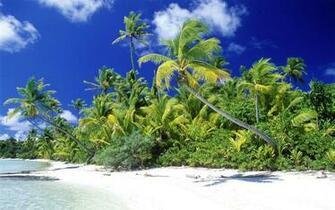 Solomon Islands Desktop Background Wallpaper Ongur
