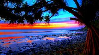 Palm Trees Sunset HD Wallpaper
