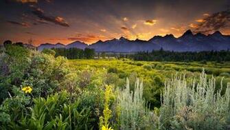 Park Wallpaper HD Nature HDwallpaper Net