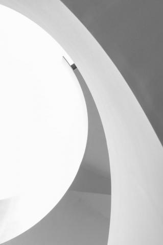White Wallpaper HD Hq