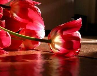 The Most Beautiful Love Heart Pictures Photos Loving