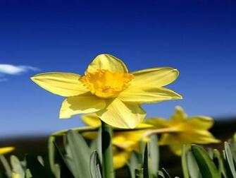 Wallpaper Most Beautiful Natural Desktop