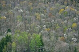 The Spring Colors In Hokkaido Traveler Photo Contest National