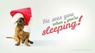 Days Of Cheer Desktop Wallpaper Ammo The Dachshund