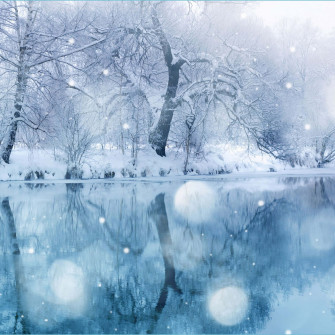Cute Winter Aesthetic Wallpaper