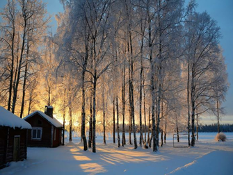 January The Long Goodbye