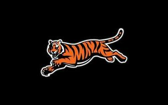 Cincinnati Bengals Nfl Football Gs Wallpaper
