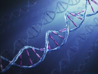 Dna Wallpaper Jpg
