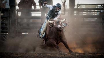 Bull Riding Bullrider Cowboy Western Cow Extreme Rodeo