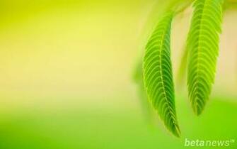 Windows Wallpaper Pack Win