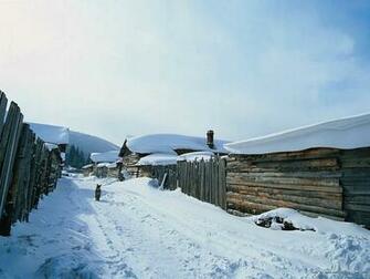 In Village Snowy Wallpaper Snow