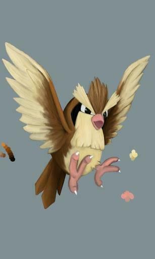 Pidgeotto Pokemon Wallpaper Image