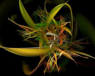 Wallpaper Tropical Leaves And Flowers By Nova28 Customize Org