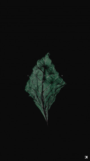 Black Aesthetic Wallpaper