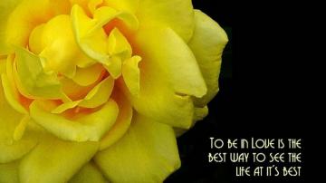 Best Black And Yellow Wallpaper Cute