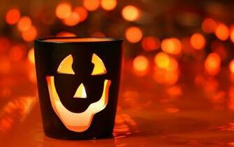 Funny Halloween Wallpaper