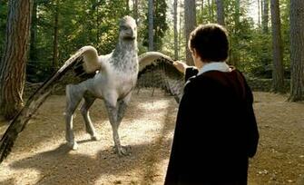 Buckbeak Harry Potter The Boy Who Lived In Hippogriff