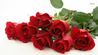 Red Roses Wallpaper Flower