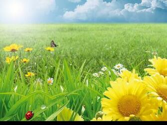 Wallpaper Cz 3d Krajiny Summer Sta En